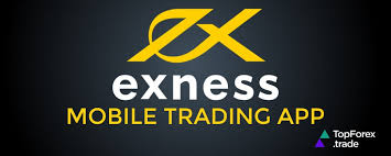 Understanding Margin Requirements Exness 14