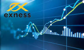 Understanding Margin Requirements Exness 14