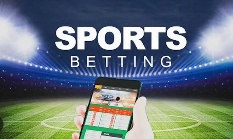Betwinner Your Ultimate Guide to Online Betting -423815374