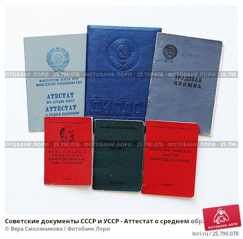 Купить диплом МГВМИ - Ваш путь к успеху